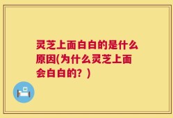 灵芝上面白白的是什么原因(为什么灵芝上面会白白的？)