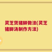 灵芝煲猪脚做法(灵芝猪脚汤制作方法)