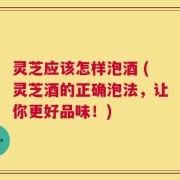 灵芝应该怎样泡酒 (灵芝酒的正确泡法，让你更好品味！)