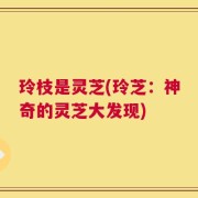 玲枝是灵芝(玲芝：神奇的灵芝大发现)