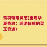 鸾羽璎珞灵芝(重现华夏奇珍：瑶池仙境的灵芝奇迹)