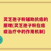 灵芝孢子粉辅助抗癌的原理(灵芝孢子粉在癌症治疗中的作用机制)