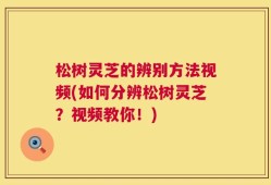 松树灵芝的辨别方法视频(如何分辨松树灵芝？视频教你！)