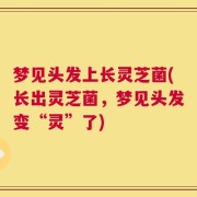 梦见头发上长灵芝菌(长出灵芝菌，梦见头发变“灵”了)