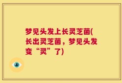 梦见头发上长灵芝菌(长出灵芝菌，梦见头发变“灵”了)