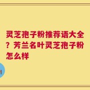 灵芝孢子粉推荐语大全？芳兰名叶灵芝孢子粉怎么样