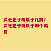 灵芝孢子粉属于几类？灵芝孢子粉属于哪个类目