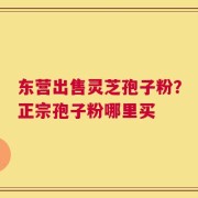 东营出售灵芝孢子粉？正宗孢子粉哪里买