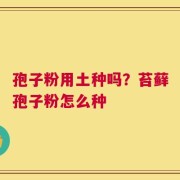 孢子粉用土种吗？苔藓孢子粉怎么种