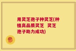 用灵芝孢子种灵芝(种植高品质灵芝  灵芝孢子助力成功)