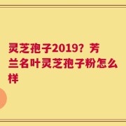 灵芝孢子2019？芳兰名叶灵芝孢子粉怎么样