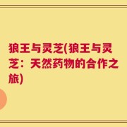 狼王与灵芝(狼王与灵芝：天然药物的合作之旅)