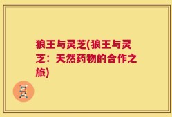 狼王与灵芝(狼王与灵芝：天然药物的合作之旅)