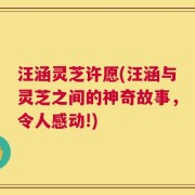 汪涵灵芝许愿(汪涵与灵芝之间的神奇故事，令人感动!)