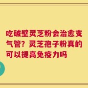 吃破壁灵芝粉会治愈支气管？灵芝孢子粉真的可以提高免疫力吗