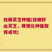 抚顺灵芝种植(抚顺野山灵芝，规模化种植取得成效)