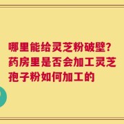 哪里能给灵芝粉破壁？药房里是否会加工灵芝孢子粉如何加工的