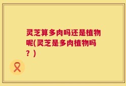 灵芝算多肉吗还是植物呢(灵芝是多肉植物吗？)