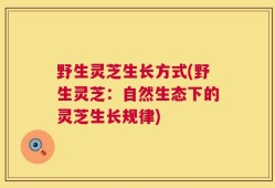 野生灵芝生长方式(野生灵芝：自然生态下的灵芝生长规律)