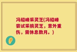 冯绍峰采灵芝(冯绍峰尝试采摘灵芝，意外重伤，需休息数月。)