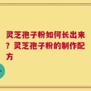 灵芝孢子粉如何长出来？灵芝孢子粉的制作配方