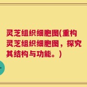 灵芝组织细胞图(重构灵芝组织细胞图，探究其结构与功能。)