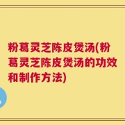 粉葛灵芝陈皮煲汤(粉葛灵芝陈皮煲汤的功效和制作方法)