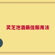 灵芝泡酒最佳服用法