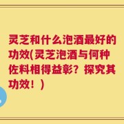 灵芝和什么泡酒最好的功效(灵芝泡酒与何种佐料相得益彰？探究其功效！)
