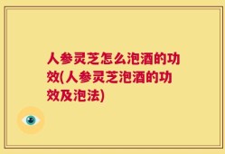 人参灵芝怎么泡酒的功效(人参灵芝泡酒的功效及泡法)