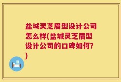 盐城灵芝眉型设计公司怎么样(盐城灵芝眉型设计公司的口碑如何？)