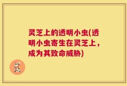 灵芝上的透明小虫(透明小虫寄生在灵芝上，成为其致命威胁)