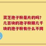 灵芝孢子粉是片的吗？几百块的孢子粉跟几千块的孢子粉有什么不同