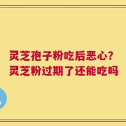 灵芝孢子粉吃后恶心？灵芝粉过期了还能吃吗