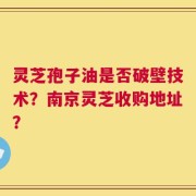 灵芝孢子油是否破壁技术？南京灵芝收购地址？