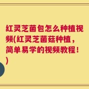 红灵芝菌包怎么种植视频(红灵芝菌菇种植，简单易学的视频教程！)