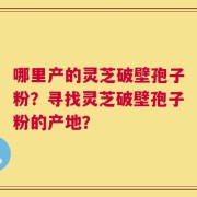 哪里产的灵芝破壁孢子粉？寻找灵芝破壁孢子粉的产地？