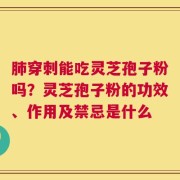 肺穿刺能吃灵芝孢子粉吗？灵芝孢子粉的功效、作用及禁忌是什么