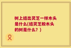 树上结出灵芝一样木头是什么(结灵芝般木头的树是什么？)