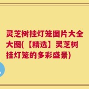 灵芝树挂灯笼图片大全大图(【精选】灵芝树挂灯笼的多彩盛景)