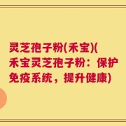 灵芝孢子粉(禾宝)(禾宝灵芝孢子粉：保护免疫系统，提升健康)