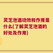 灵芝泡酒功效和作用是什么(了解灵芝泡酒的好处及作用)