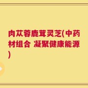 肉苁蓉鹿茸灵芝(中药材组合 凝聚健康能源)