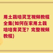 用土栽培灵芝视频教程全集(如何在家用土栽培培育灵芝？完整视频教程)