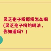 灵芝孢子粉原粉怎么喝(灵芝孢子粉的喝法，你知道吗？)