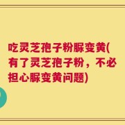 吃灵芝孢子粉脲变黄(有了灵芝孢子粉，不必担心脲变黄问题)