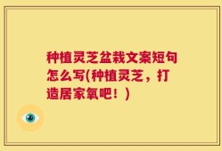 种植灵芝盆栽文案短句怎么写(种植灵芝，打造居家氧吧！)