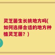 灵芝菌生长挑地方吗(如何选择合适的地方种植灵芝菌？)