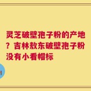 灵芝破壁孢子粉的产地？吉林敖东破壁孢子粉没有小看帽标