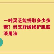 一吨灵芝能提取多少多糖？灵芝舒缓修护肌底液用法